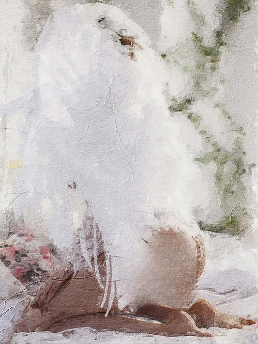 Impression sur toile – Ange à genoux avec ailes blanches